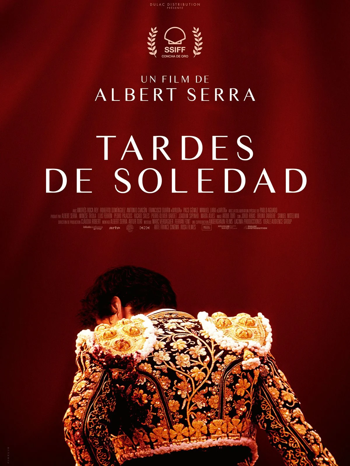 Affiche du film Tardes de soledad